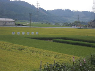 2164310_582784837_101large.jpg